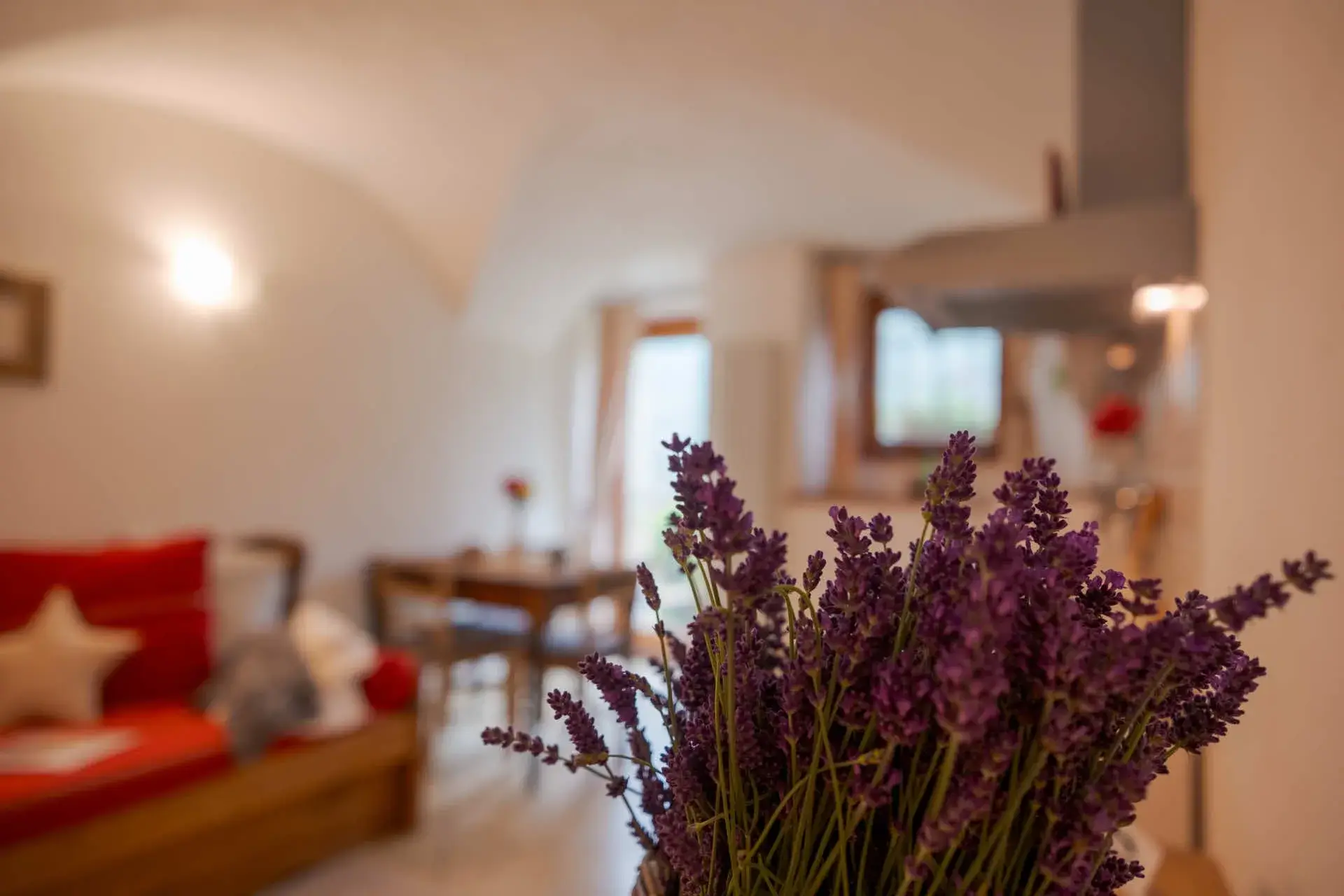 fattoria roven monolocale gatto 3036