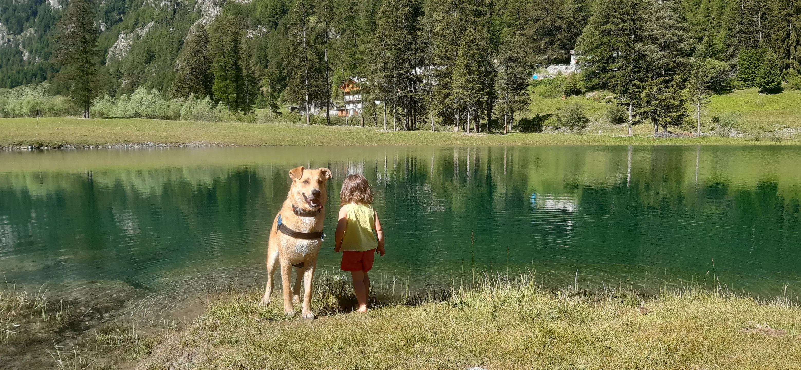 berlino lago